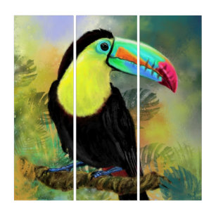 Exotic Tropical Toco Toucan Bird Triptych