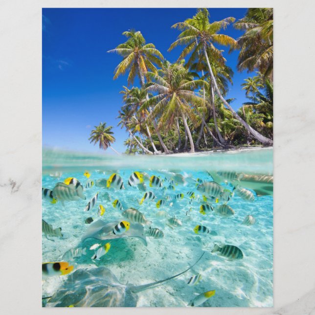 Exotic vacations flyer (Front)