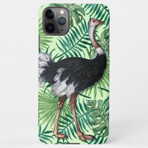 Exotic Vintage Ostrich iPhone 11Pro Max Case