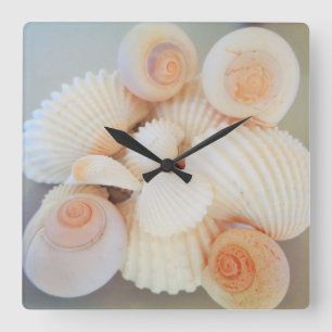 Exotic White Peach Sea Shells, Summer Beach Square Wall Clock