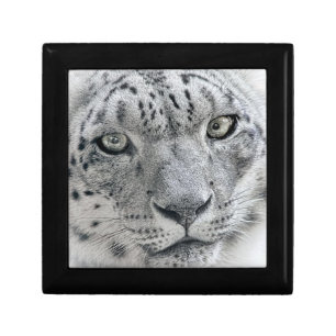 Exotic White Snow Leopard Gift Box