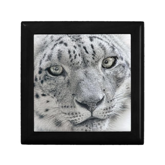 Exotic White Snow Leopard Gift Box (Front)