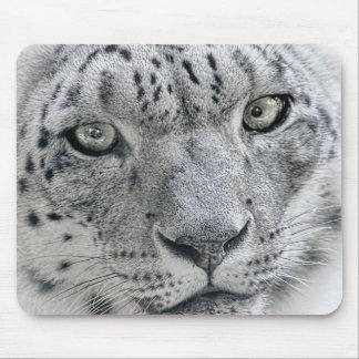 Exotic White Snow Leopard Mouse Pad