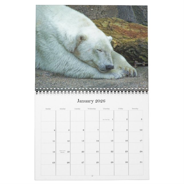 Exotic Wonders 2012 Calendar (Jan 2026)