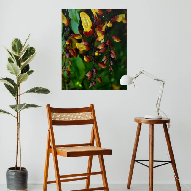 Exotic Yellow and Red Indian Clock Vine Botanical Acrylic Print (Creator Uploaded)