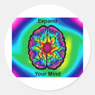 Expand Your Mind Classic Round Sticker