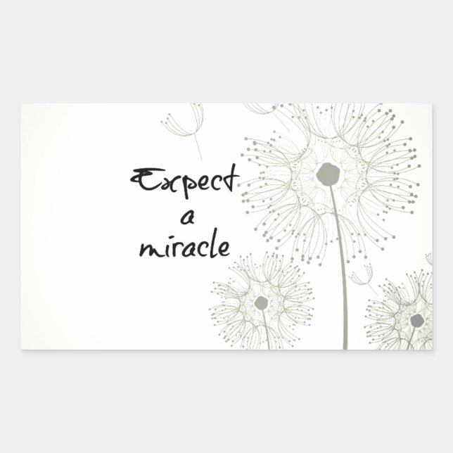 Expect a Miracle Inspirational Rectangular Sticker (Front)