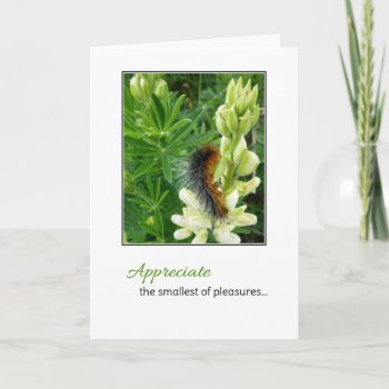 Expect Miracles...an Inspirational Card by inFinnite at Zazzle