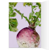 Expect Miracles Everyday Turnip (Inside (Left))