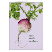 Expect Miracles Everyday Turnip Cards (Front)