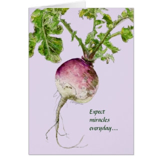 Expect Miracles Everyday Turnip Cards