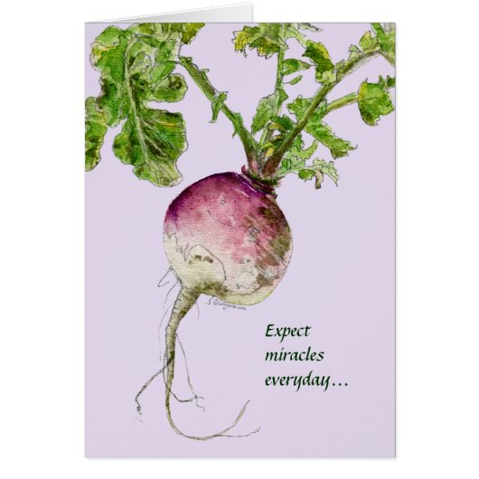 Expect Miracles Everyday Turnip Cards (Front)