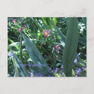 expect the unexpected postcard