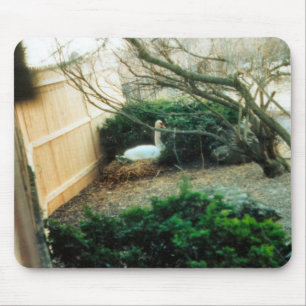 Expectant Mother Mouse Pad