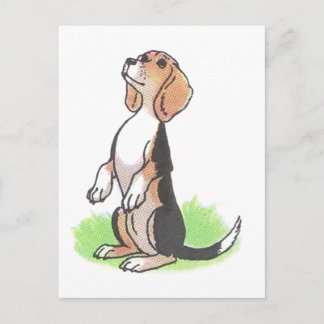 Expectant Puppy Postcard