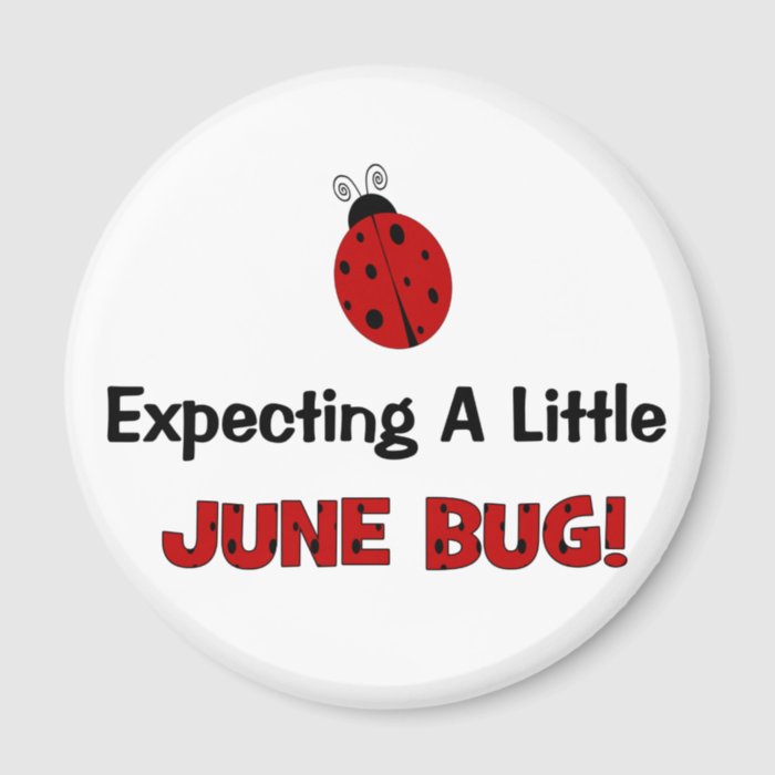 Expecting A Little June Bug Maternity Magnets