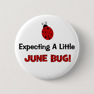 Expecting A Little June Bug Maternity Pinback Button