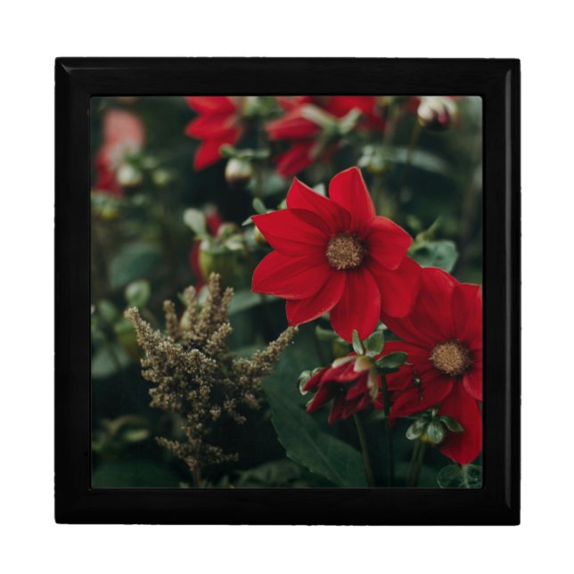 Expensive Gift Box 🎁 (Front)