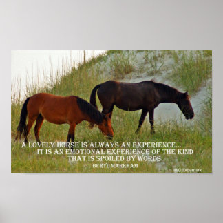 experience a horse poster