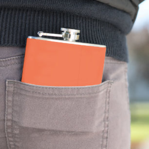 Experience the Beauty of a Blue Sky with a Plane Flask