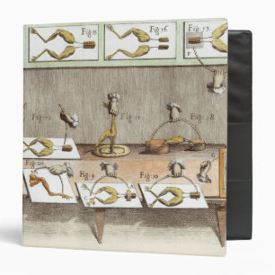 Experiment on frogs 3 ring binder