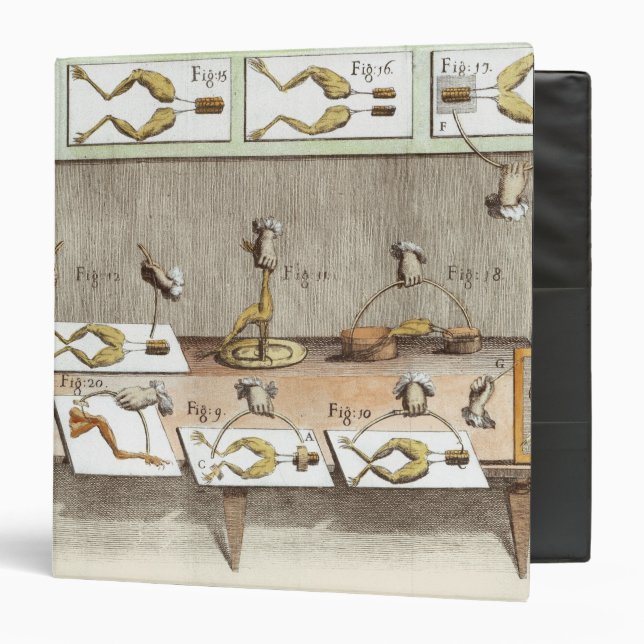 Experiment on frogs 3 ring binder (Front/Inside)