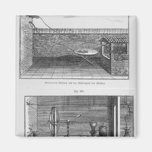 Experiment on frogs by Louis Galvani Magnet (Front)