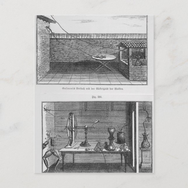 Experiment on frogs by Louis Galvani Postcard (Front)