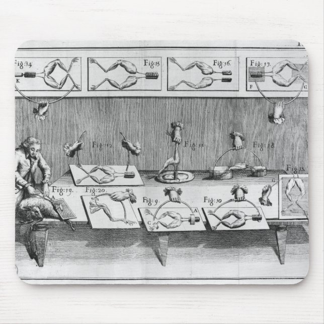 Experiment on frogs mouse pad (Front)