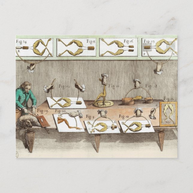 Experiment on frogs postcard (Front)