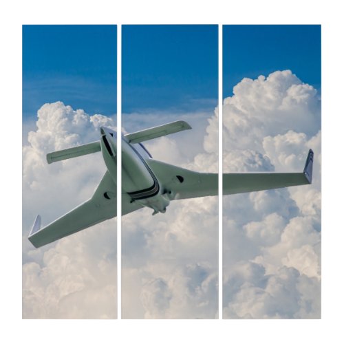 experimental aircraft owning the sky triptych