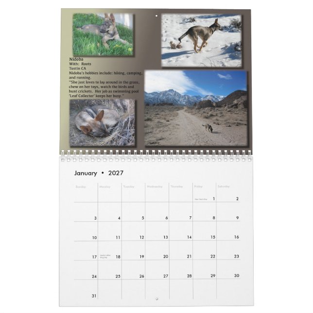 EXPIRED 2013 AID Calendar (Jan 2027)