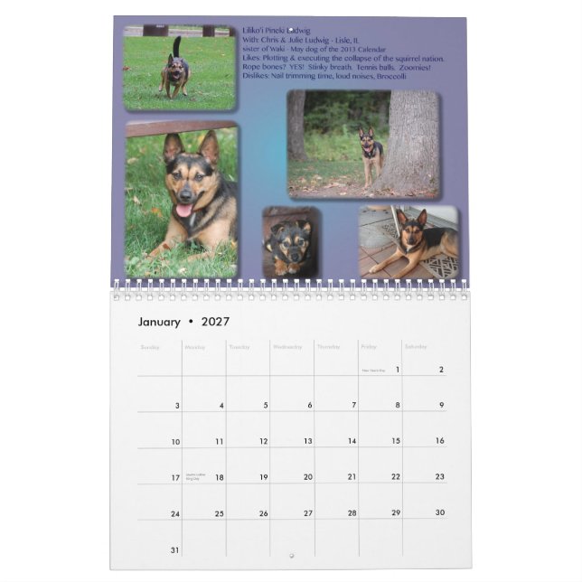 EXPIRED: 2014 AIDog Calendar (Jan 2027)