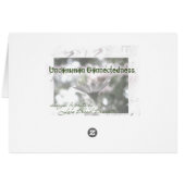 exploding square cards (Back Horizontal)