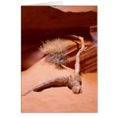 Explore Arizona (Front)