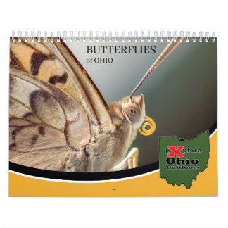 Explore Ohio Outdoors Butterflies of Ohio Calendar