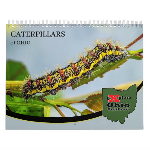 Explore Ohio Outdoors Caterpillars of Ohio Calendar