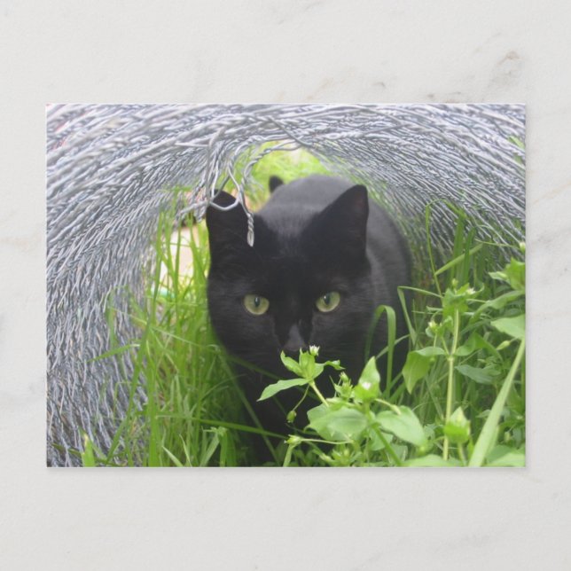 Explore Postcard (Front)