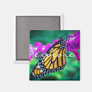 "Explore" quote orange monarch butterfly photo Magnet