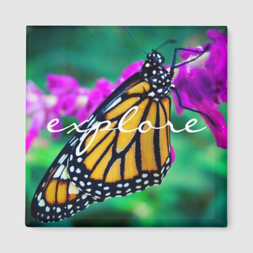 Explore quote orange monarch butterfly photo Magnet