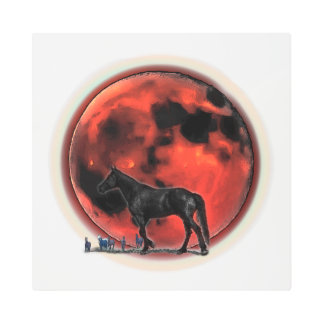 Explore Your Strength Metal Print