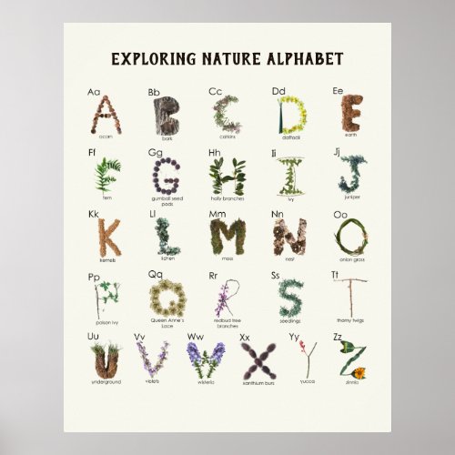 Exploring Nature Alphabet  Woodland ABC Nursery  Poster