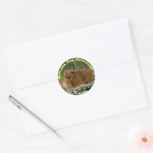 Exploring Nature Guinea Pig Photograph Custom Text Classic Round Sticker
