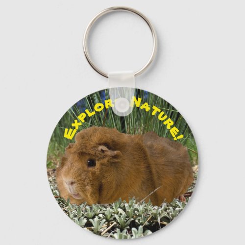 Exploring Nature With A Cute Guinea Pig Photograph Keychain