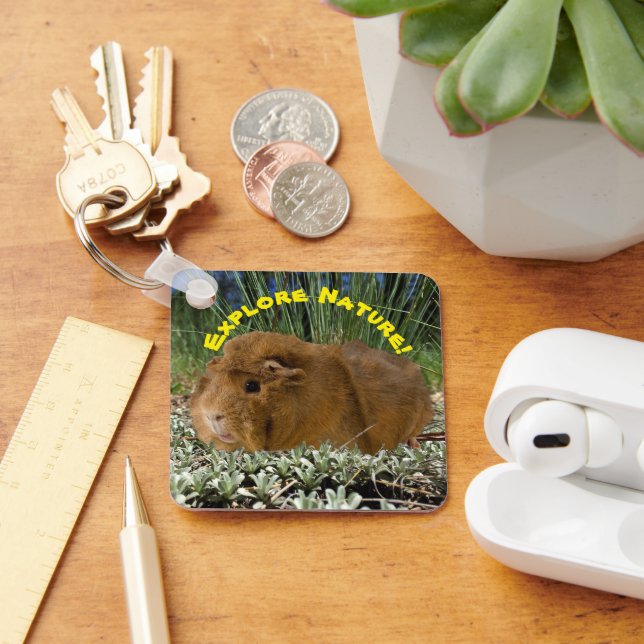 Exploring Nature With A Cute Guinea Pig Photograph Keychain (Desk)