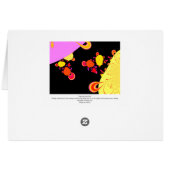 Exploring other Suns (Back Horizontal)