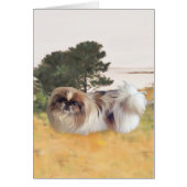 Exploring the Shore (Front)