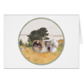 Exploring the Shore (Front Horizontal)