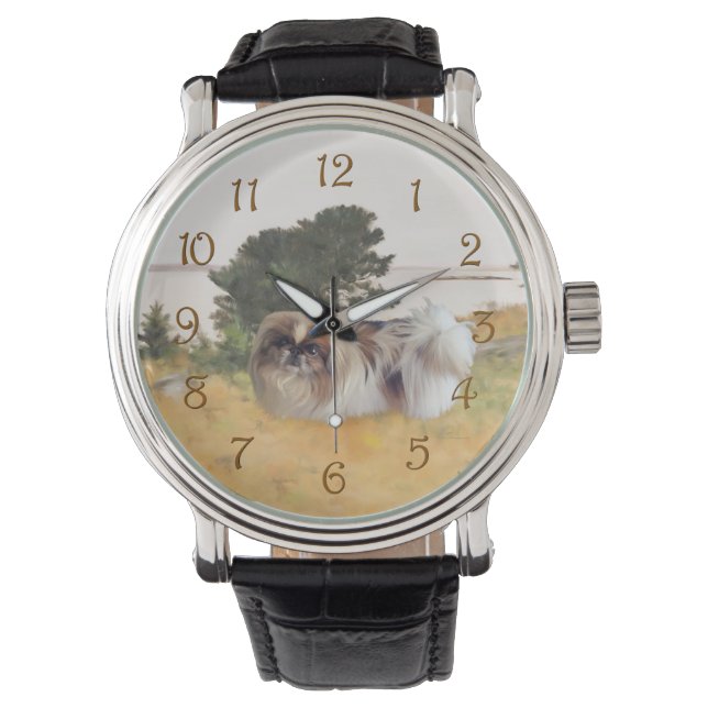 Exploring the Shore Watch (Front)