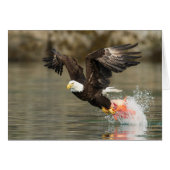Explosive Bald Eagle Cards (Front Horizontal)